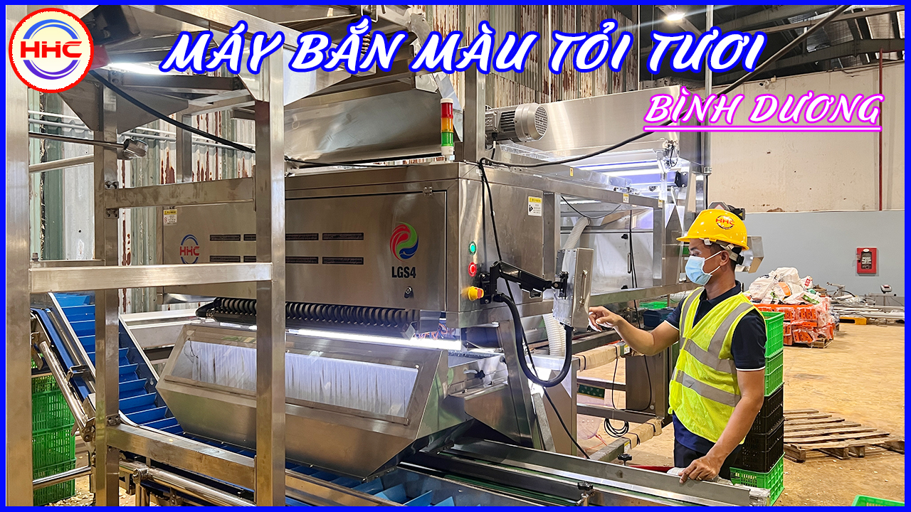 Máy tách màu tỏi công nghệ AI & Deeplearning